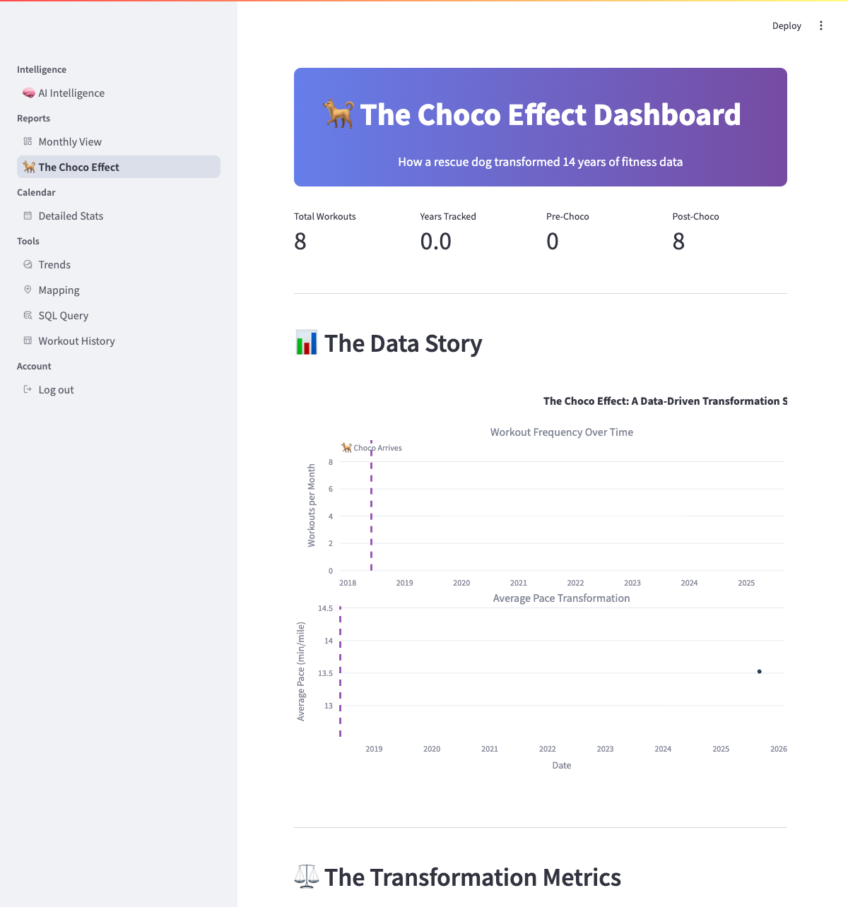 The Choco Effect Dashboard